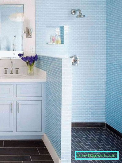 Şeffaf banyo - şık tasarım seçeneklerinin 65 fotoğrafı