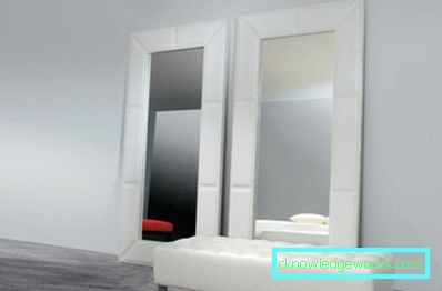Oturma odasında 55 ayna - 80 fotoğraf